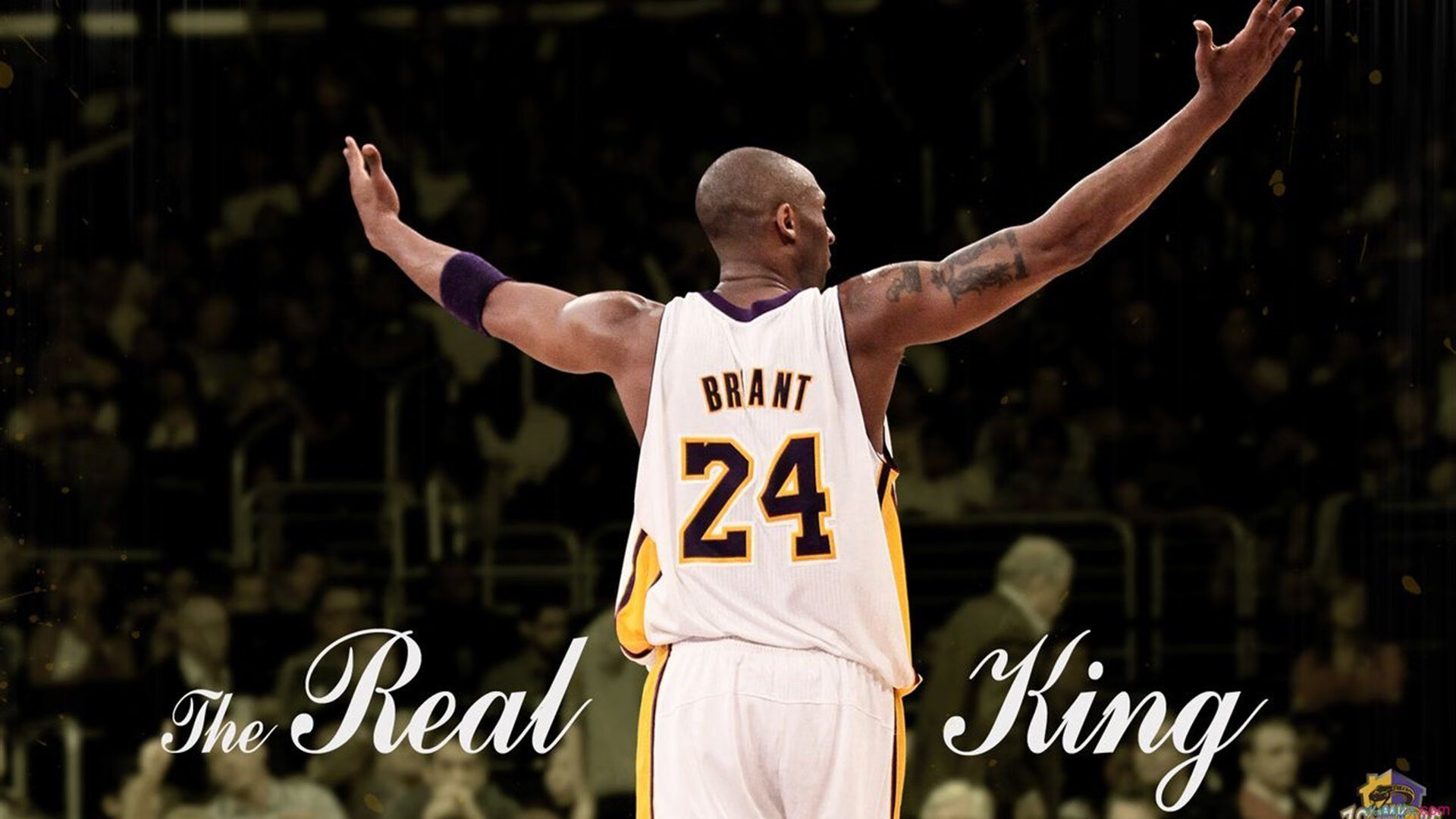 林丹线上讲座吸引上千学生在线观看,播放林丹的比赛视频