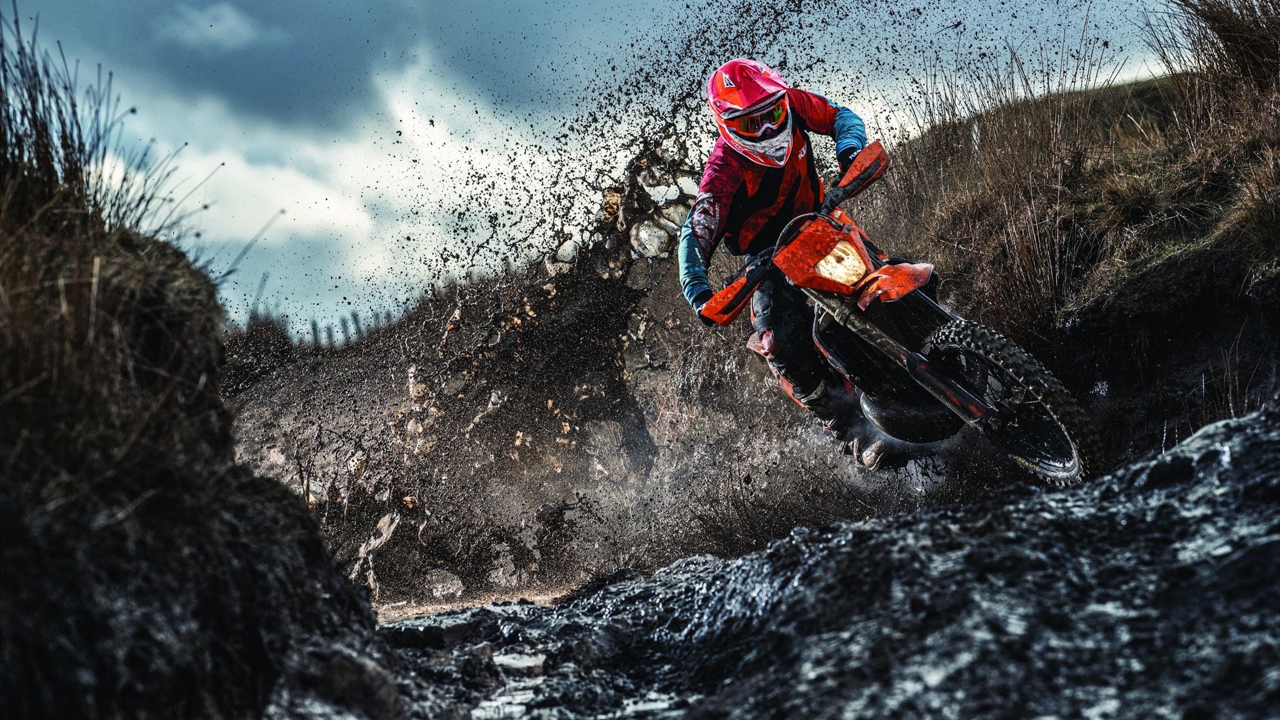 中国反倾销措施再启动，目标是碧根果，中国反倾销其他国家的产品吗